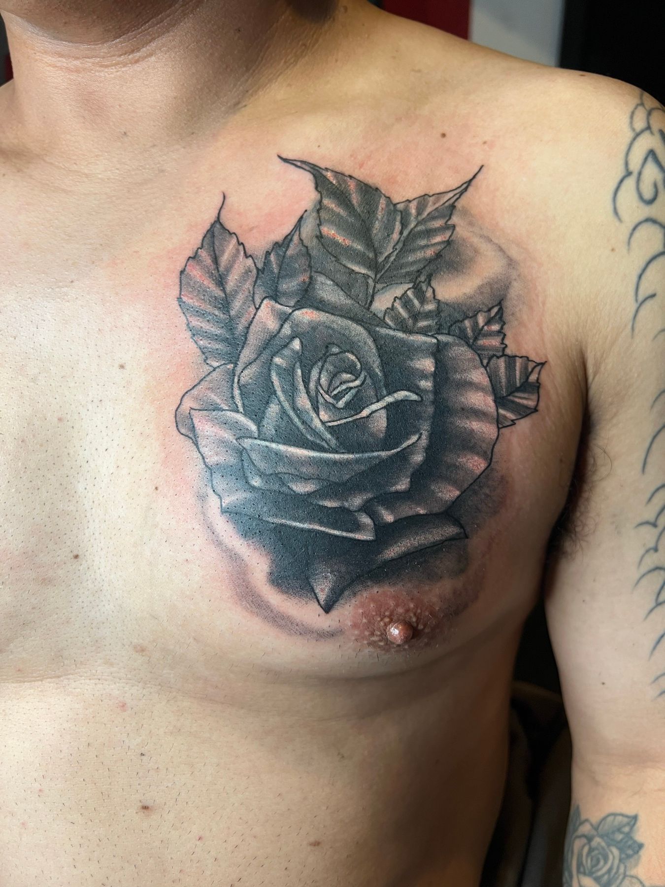Bold black and grey rose chest cover-up tattoo covering the old faded piece, by American Ink in Sherman Oaks.