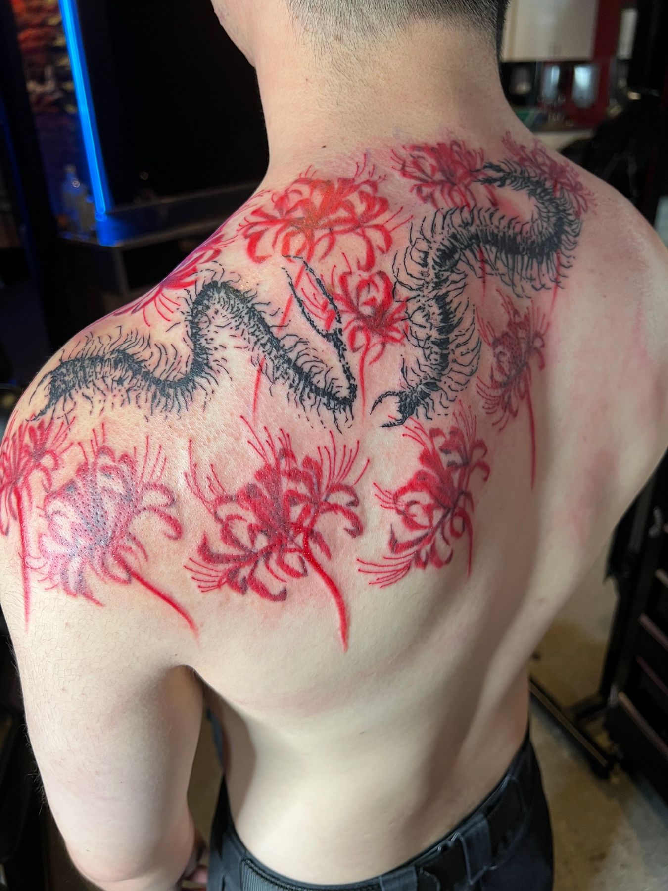 Black and red tattoo of an Eastern dragon among red spider lilies across an upper back, by American Ink in Sherman Oaks.