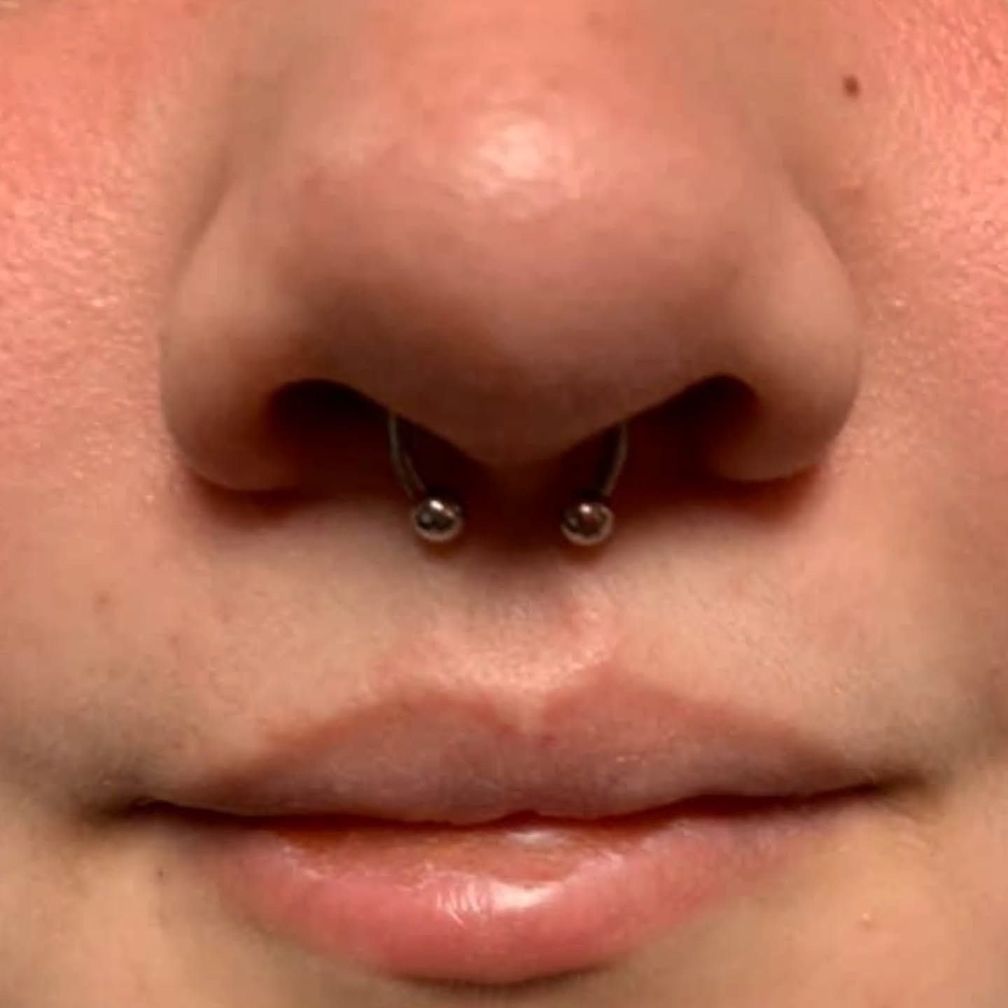 Fresh septum piercing fitted with a steel horseshoe barbell, pierced by American Ink in Sherman Oaks.