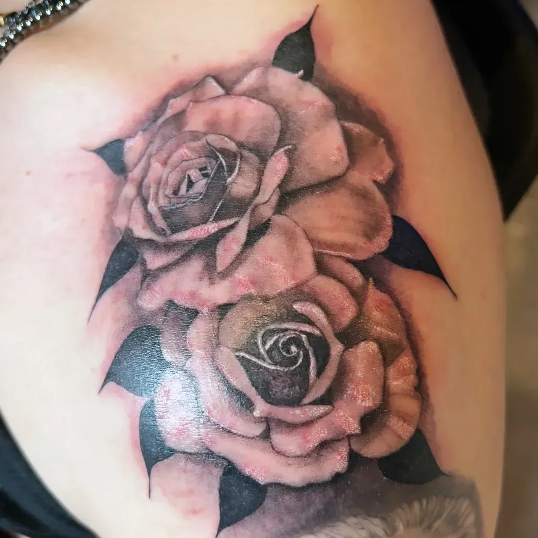 Soft black and grey roses tattooed on the back of the shoulder at American Ink Tattoos in Sherman Oaks.