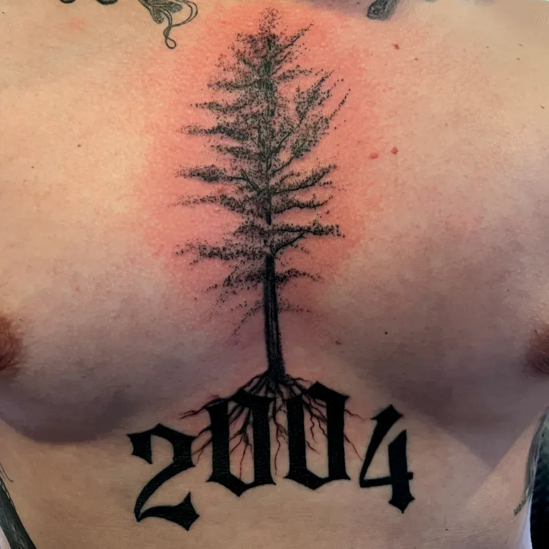 Dotwork pine tree with exposed roots above bold 2004 lettering, tattooed on the center chest at American Ink Tattoos in Sherman Oaks.