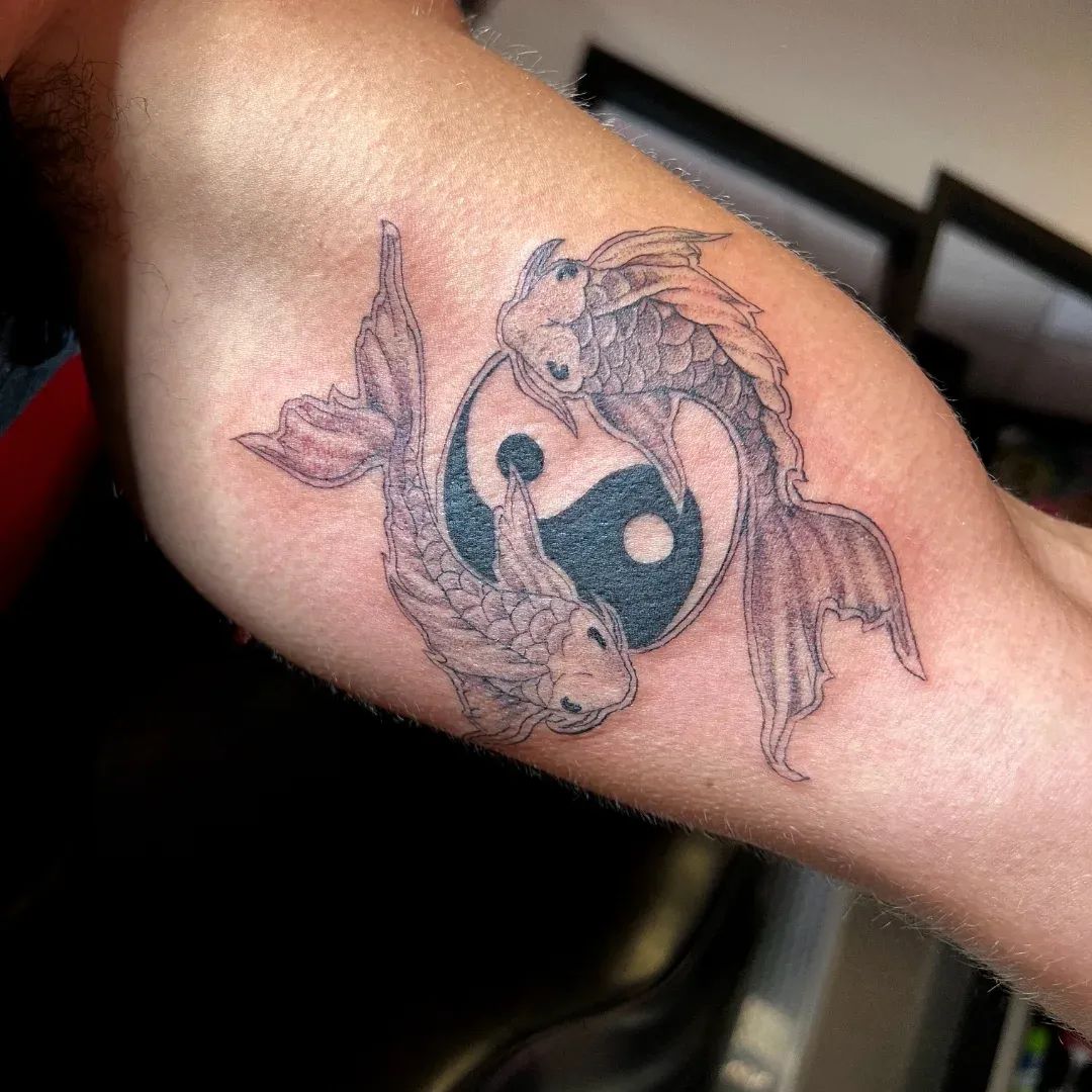 Two finely shaded koi circling a yin-yang symbol on the inner bicep, tattooed at American Ink Tattoos in Sherman Oaks.