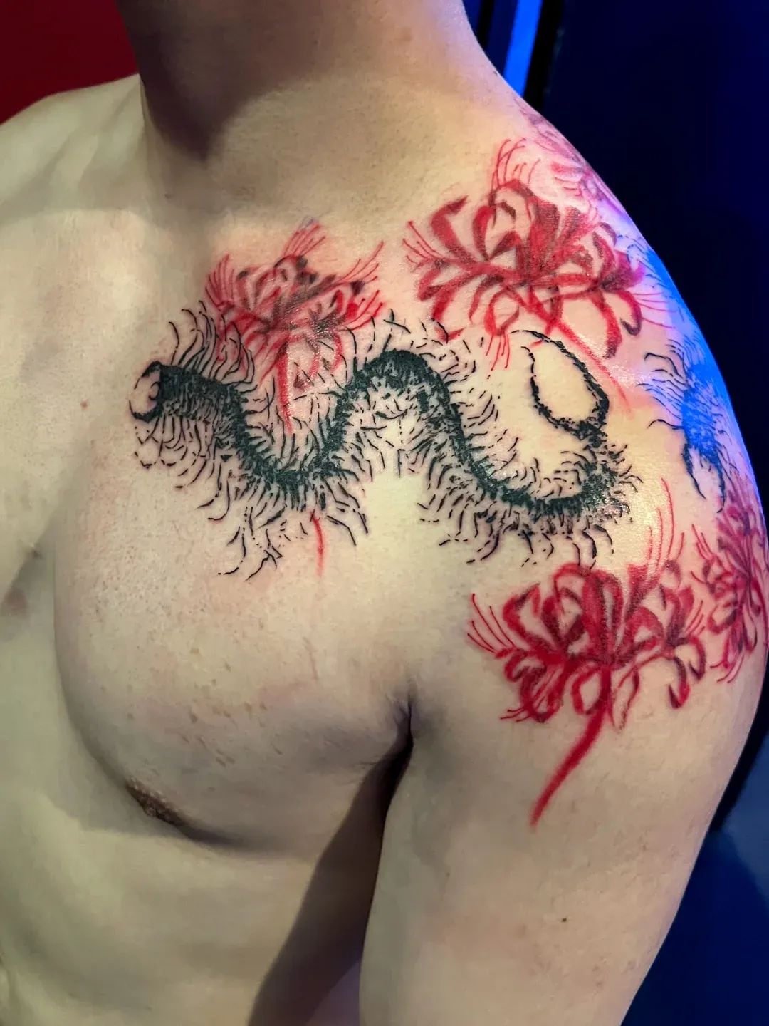 Fresh red spider lily and black centipede tattoo across the chest and shoulder, tattooed at American Ink Tattoos in Sherman Oaks.